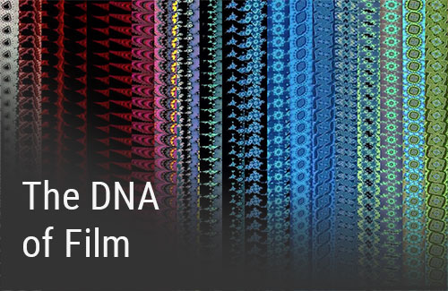 Burkhard Philipp von Harder | The DNA of Film | Untitled Filmscrolls