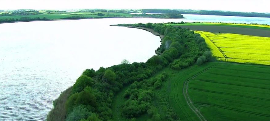 Burkhard Philipp von Harder | NARBE DEUTSCHLAND | SCAR GERMANY @ BARCELONA LOOP FESTIVAL