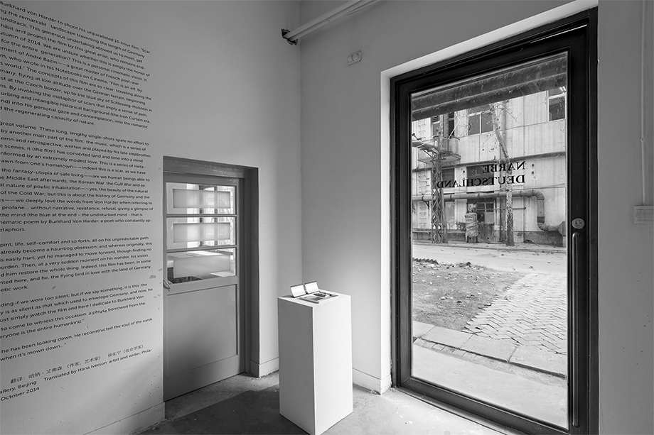 Burkhard Philipp von Harder - NARBE DEUTSCHLAND | SCAR GERMANY - World Premiere Part 2 - Being3 Gallery Beijing